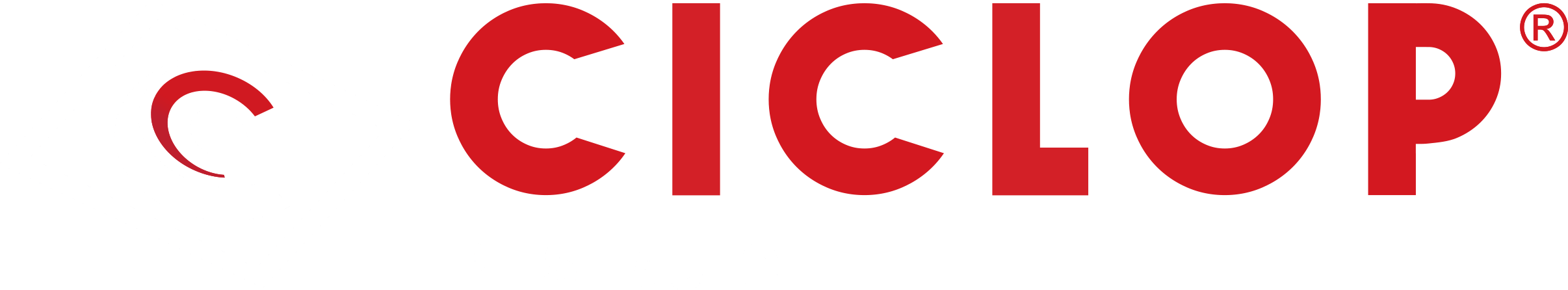 Ciclop Piese Auto Timișoara